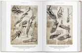 Leonardo - The Complete Drawings (English)